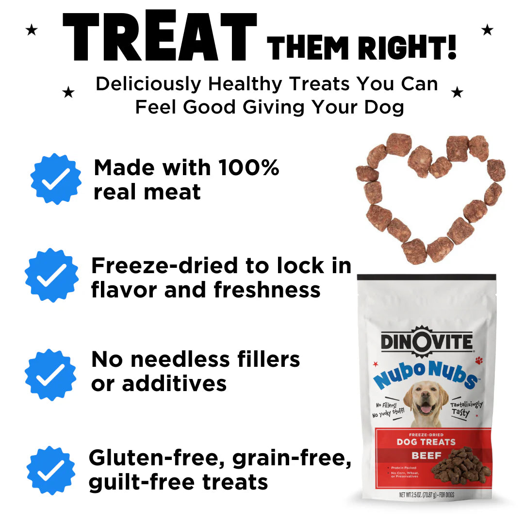 Best in Show Starter Bundle