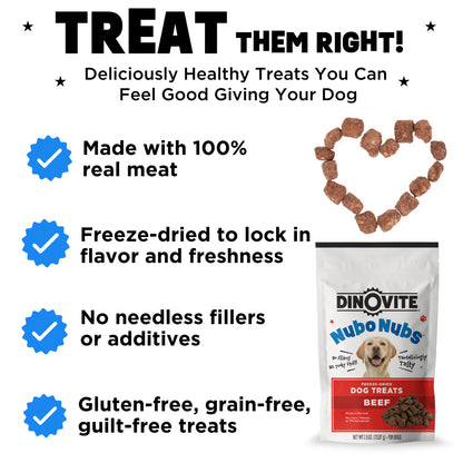 Best in Show Starter Bundle