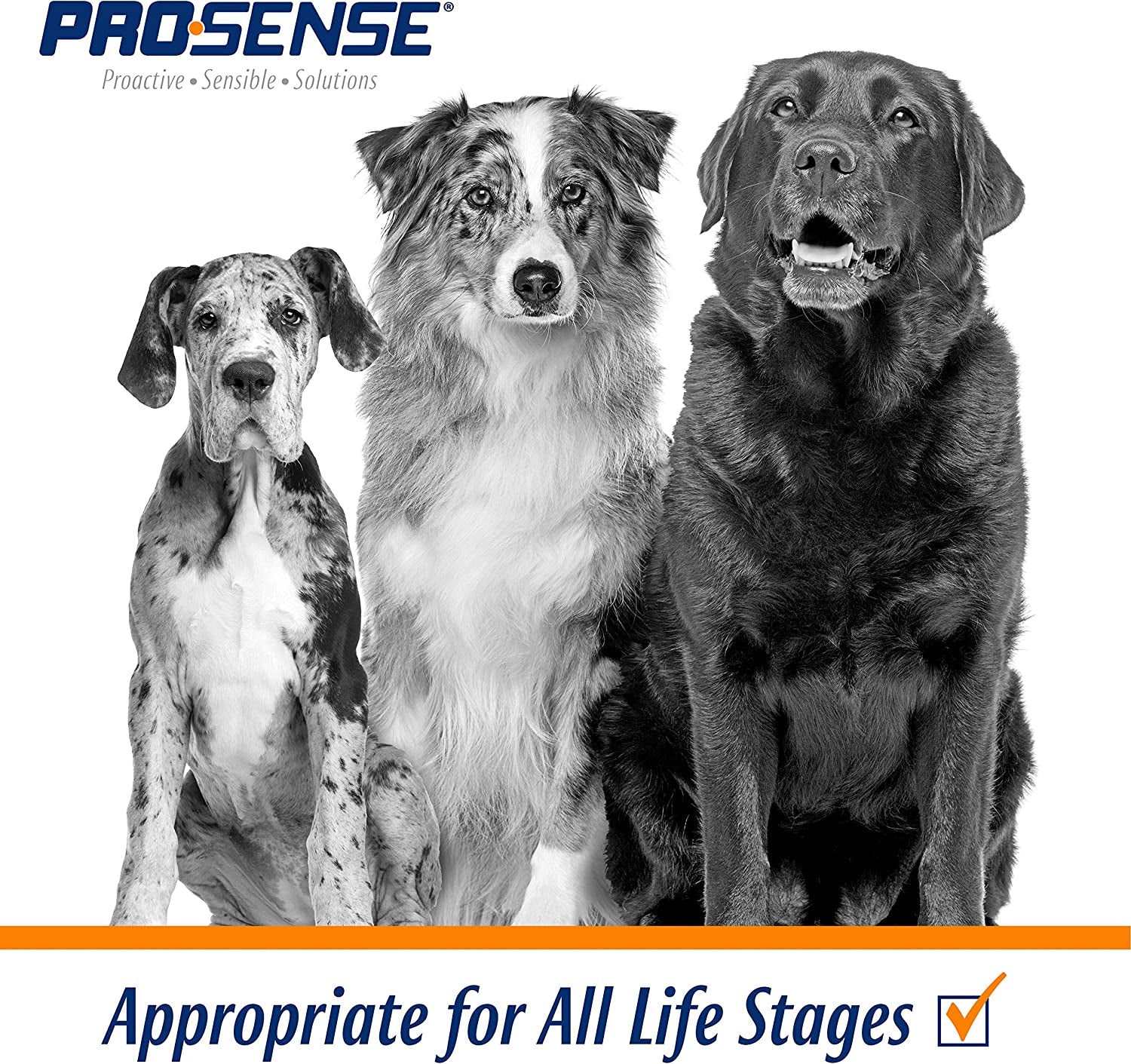Vitamin Solutions 90 Count, Chewable Tablets for Dogs, Helps Support Overall Wellness (P-87039)