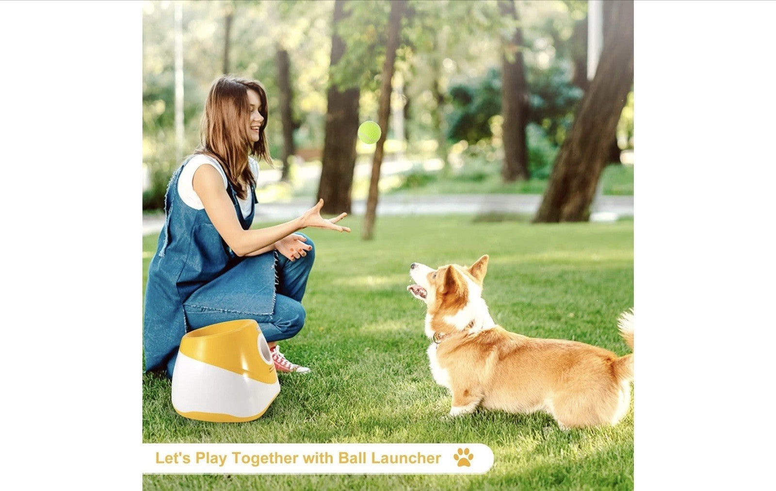 Automatic Dog Ball Thrower Launcher, with 6 Mini Balls for Small Medium Dogs