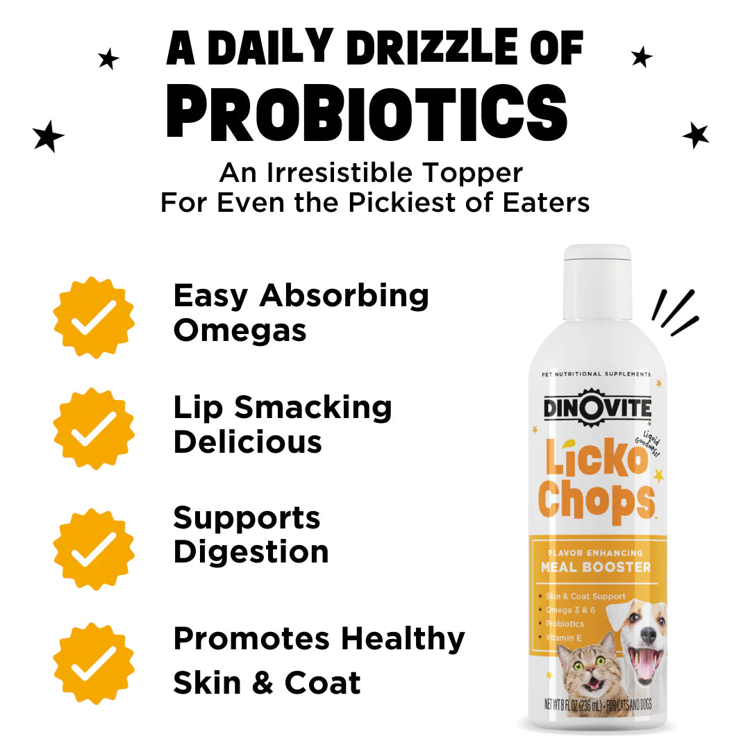 The Cat'S Meow Bundle