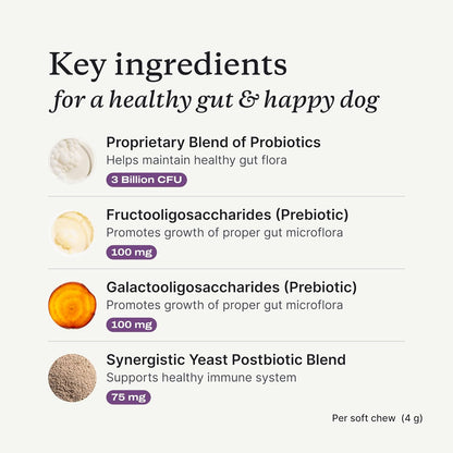 Probiotics for Dogs, Support Gut Health, Occasional Diarrhea, Digestive Health & Seasonal Allergies - Salmon Flavor - Packaging May Vary - 30 Soft Chews
