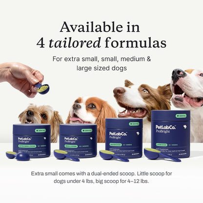 Probright Dental Powder - Dog Breath Freshener - Teeth Cleaning Made Easy – Targets Tartar & Bad Breath - Formulated for Small Dogs - Packaging May Vary