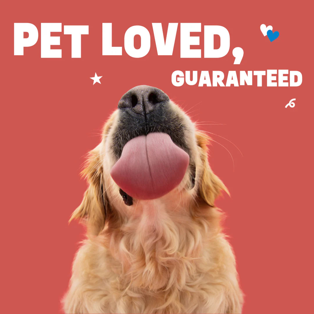 Supromega Salmon Oil Blend