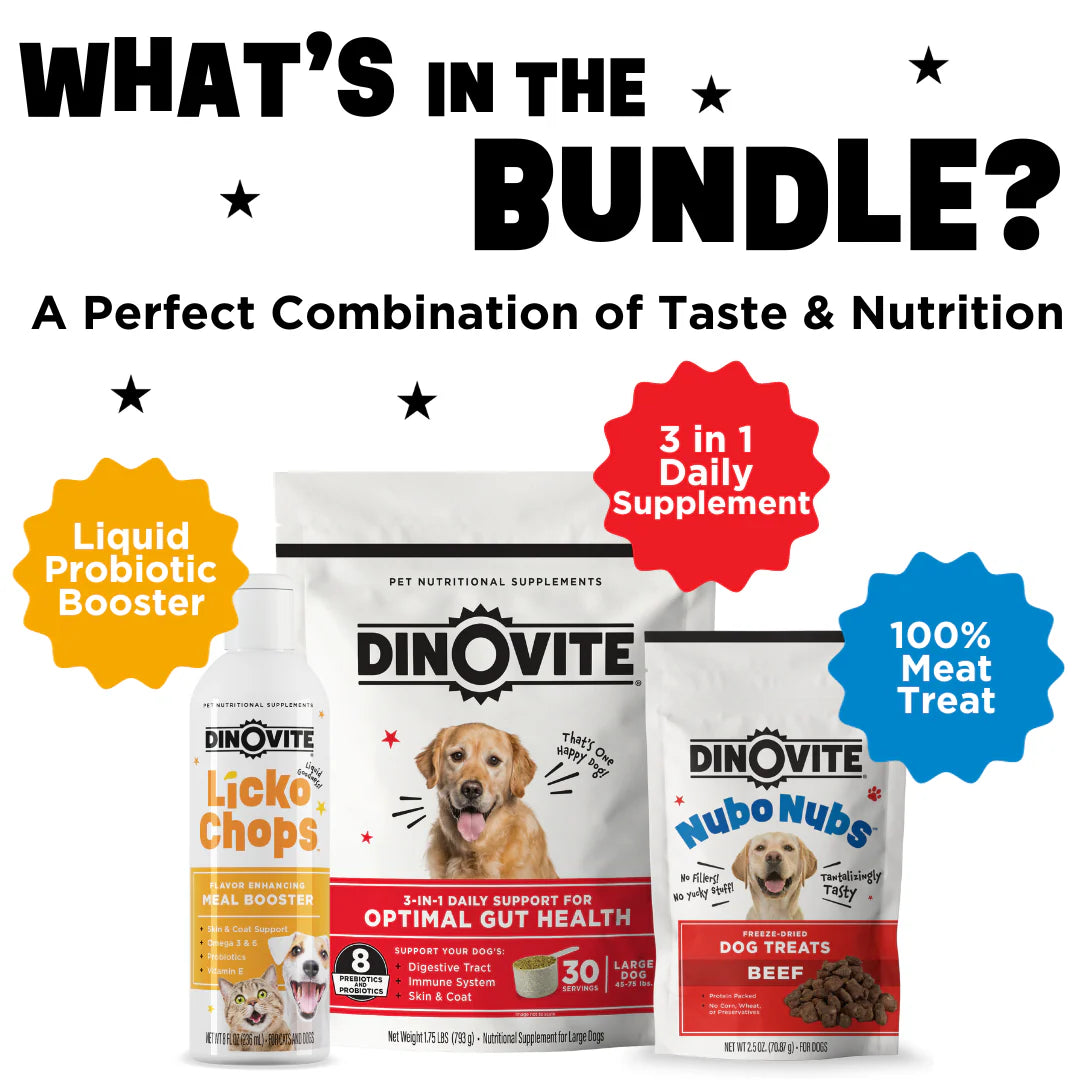 Best in Show Starter Bundle