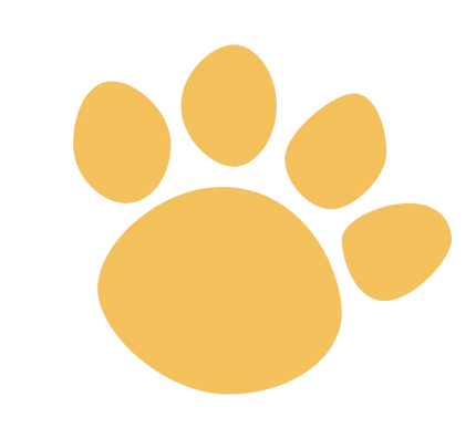 Logo Imagee
